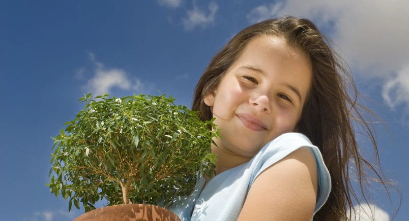 Plant For The Planet 