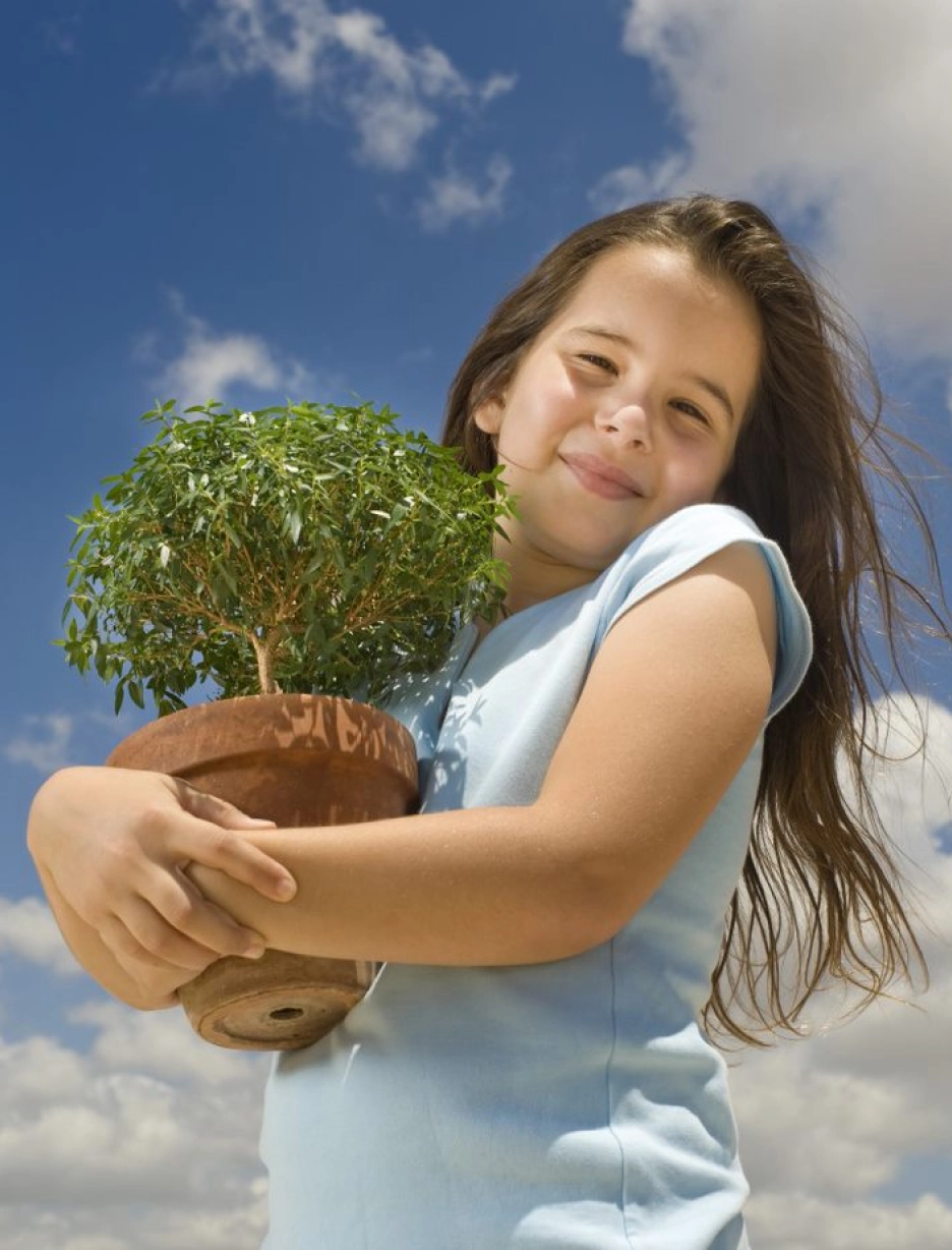 Plant For The Planet 